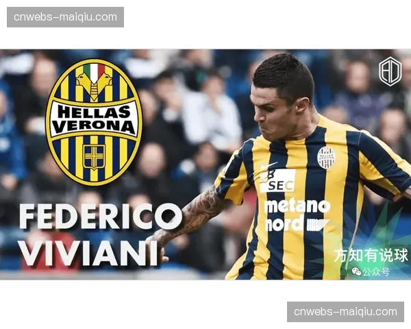 意甲下赛季电视转播权本土竞标开启，多家媒体集团参与角逐